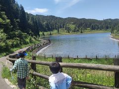 -武陵山森林公园