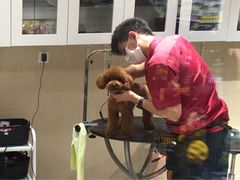 -宠物家(双井店)