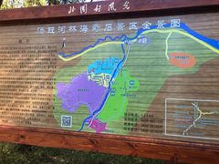 -汤旺河林海奇石景区