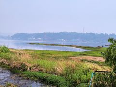 -洱海月湿地公园