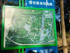 -塘沽森林公园