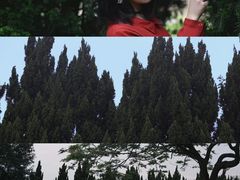 -南沙蒲洲花园