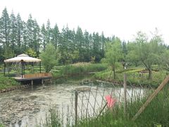-前小桔亲子创意农场·草莓采摘·露营烧烤