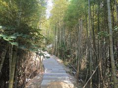 -梅岭月亮湾山体公园