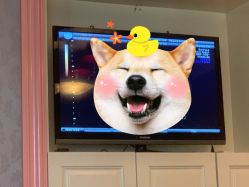 -北京俪婴妇产医院(朝阳大悦城店)