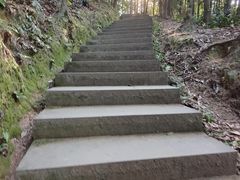 -缙云山景区