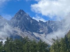 -金鼎雪山牦牛杂火锅(理县总店)