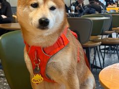 -星巴克臻选(湖滨道店)