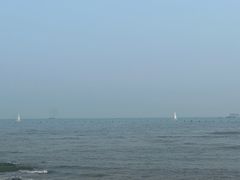 -青岛海景花园大酒店·白果树餐厅青岛菜