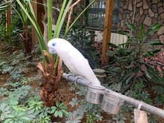 -南宫五洲植物乐园