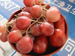 -许记驴肉黄面胡杨焖饼