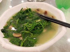 -姚林轩