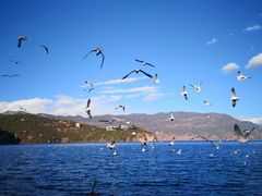 -丽江泸沽湖景区