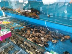 -港畔赶海蒸汽海鲜烧烤自助(仙螺岛店)