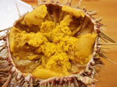 活海胆-海胆小馆(春柳店)
