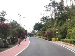 -仙岳公园