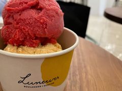 -LUNEURS月乐诗·法式冰淇淋(环贸店)