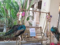 -西双版纳融创皇冠假日度假酒店