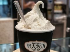 -野人先生现做冰淇淋(西安赛格店)