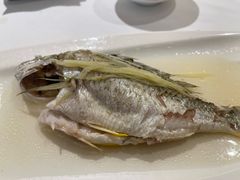 -花城苑广府菜(侨鑫店)
