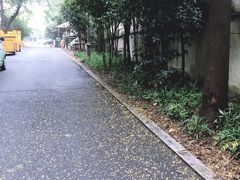 -杭州西湖风景名胜区-满觉陇四眼井