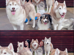 -TrueLove @ Neverland (Husky Cafe)