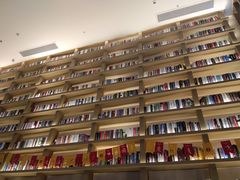 -深影国际影城(学院南路店CGS中国巨幕店)