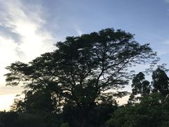 -南沙蒲洲花园
