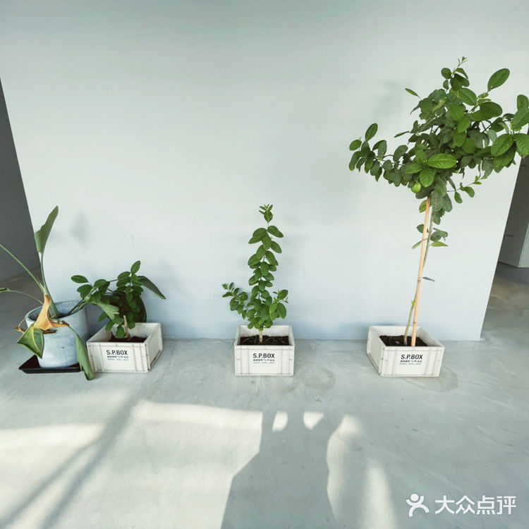 简洁的白,城市“乐吧”带你回到旧时光的驻所