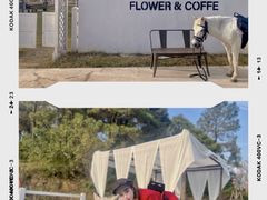 -大塘金香草谷