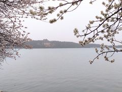 -颐和园