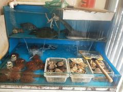 水产区-福匠日本料理(人民路店)