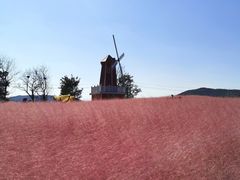 -羊亭河湿地公园