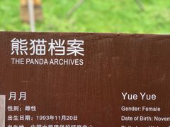 -都江堰中华大熊猫苑