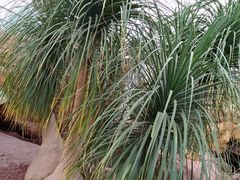 -南通洲际绿博园