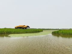 -宁波杭州湾国家湿地公园
