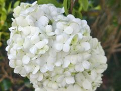 -杭州城北体育公园