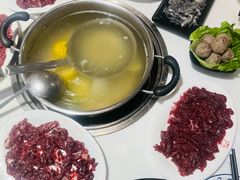 -陈记顺和潮汕牛肉火锅(韩江路店)