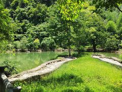 -靖西鹅泉风景区