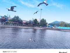 -大连老虎滩海洋公园
