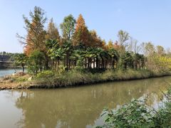 -上海怡沁园度假酒店