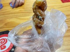 -海丝金凤(金鱼店)