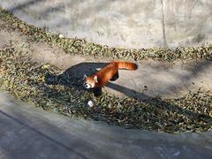 -鄂尔多斯野生动物园