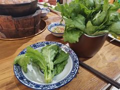 广东茼蒿-十六蒲(桂林路店)