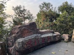 -铁山坪森林公园