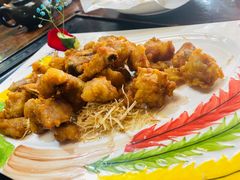 -食德喜·阳山鸡王食研基地