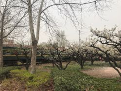 -郑州市世纪公园