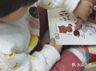 0-1岁宝宝早教知识有哪些？重要内容全在这里
