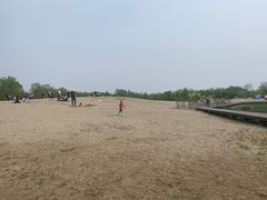 -东郊湿地公园