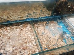 -喜多鲜生海鲜自助(无锡旗舰店)